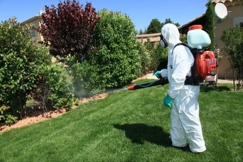 Kyle Mosquito Control